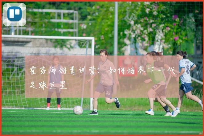 霍芬海姆青训营:如何培养下一代足球巨星
