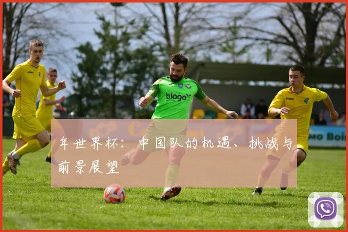 年世界杯：中国队的机遇、挑战与前景展望