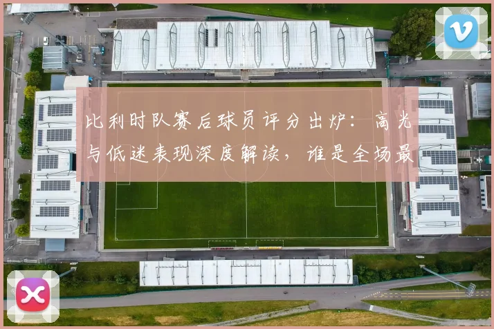 比利时队赛后球员评分出炉:高光与低迷表现深度解读,谁是全场最佳?